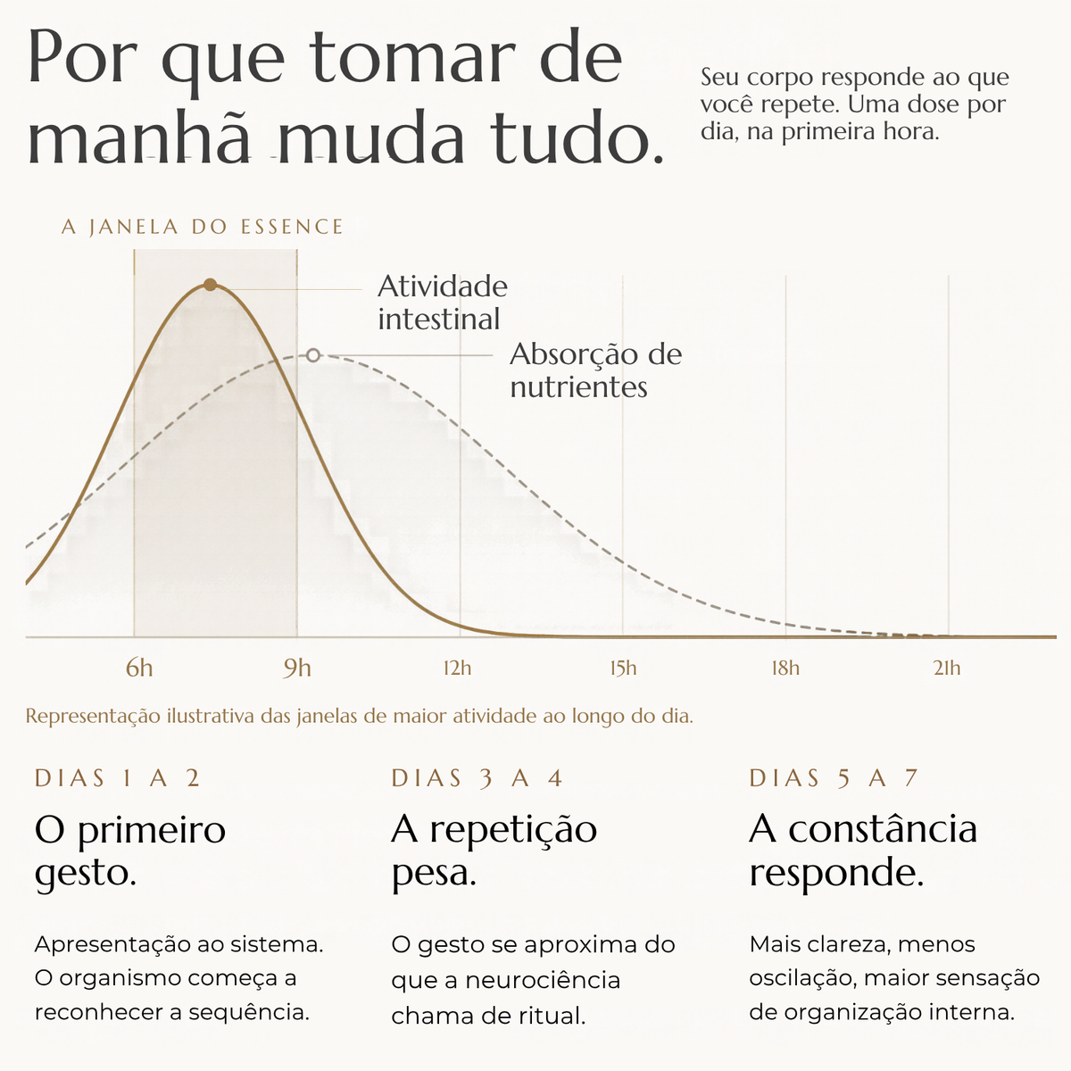 Composição do AERUM Essence, conteúdo visual AERUM