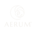 Logotipo AERUM